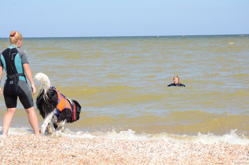 Фотография № 213435