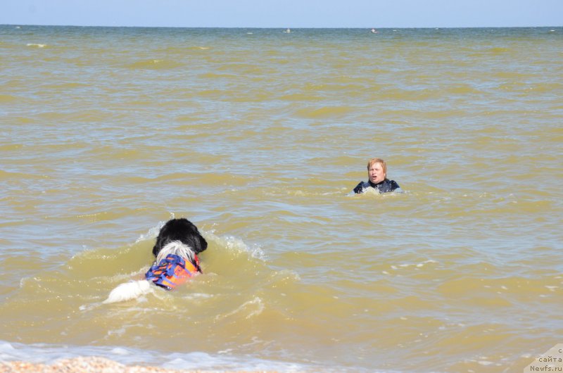 Фотография № 213437