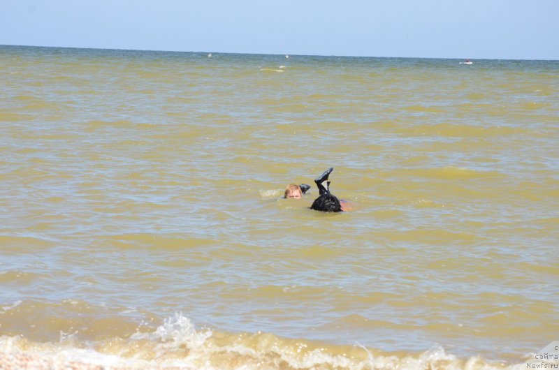 Фотография № 213440