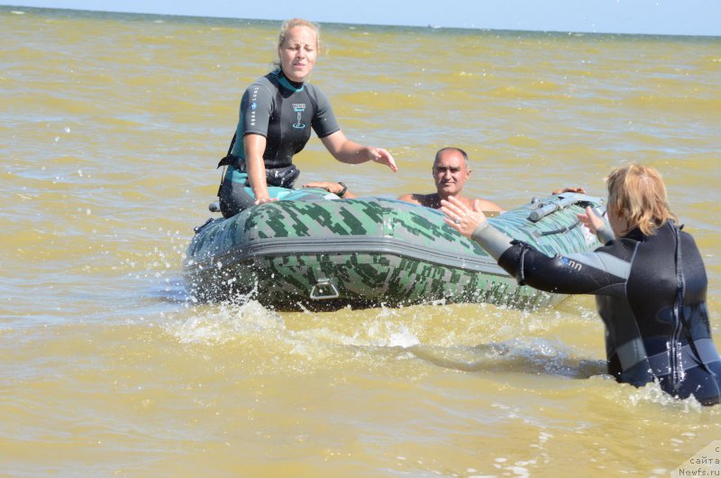 Фото: ньюфаундленд Angels Keeper Nibelung (Энджелс Кипер Нибелунг), Ol'ga Martyinova (Ольга Мартынова)