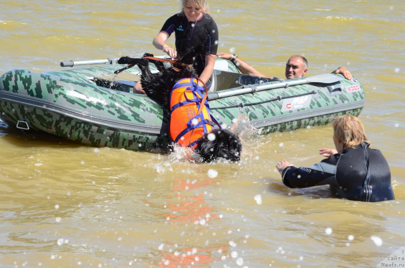 Фотография № 213447