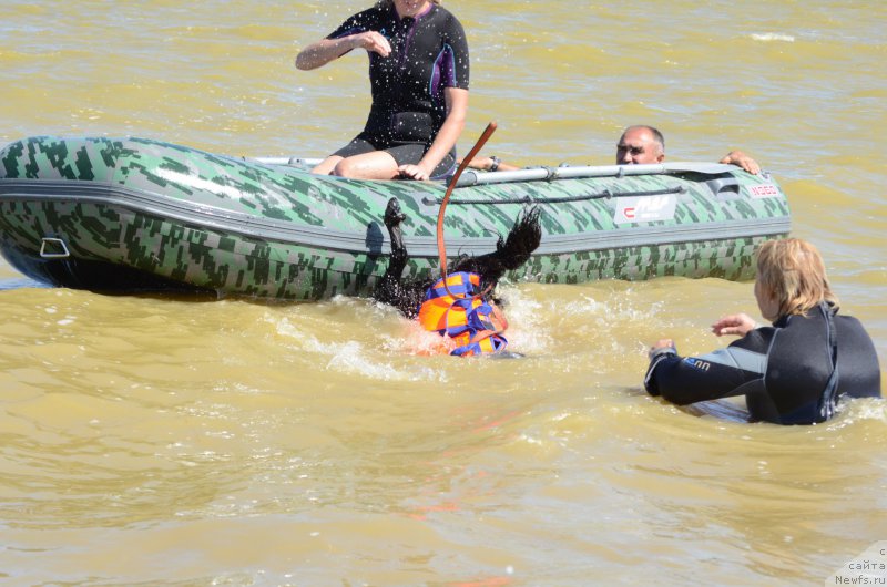 Фотография № 213448