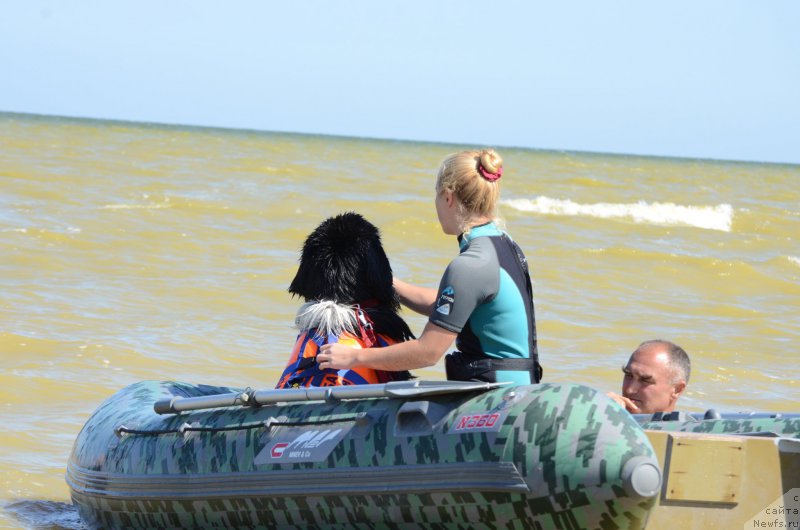 Фотография № 213451