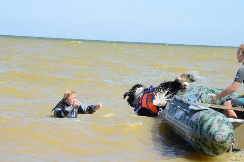 Фотография № 213452