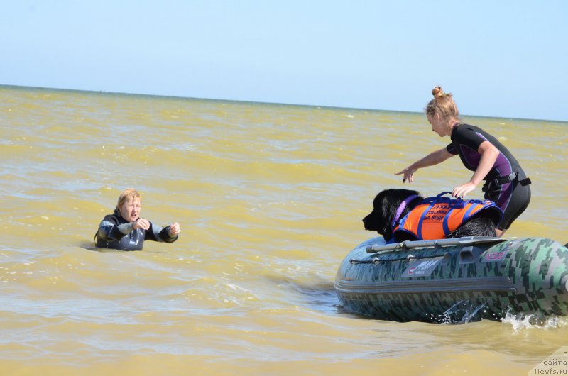 Фотография № 213455