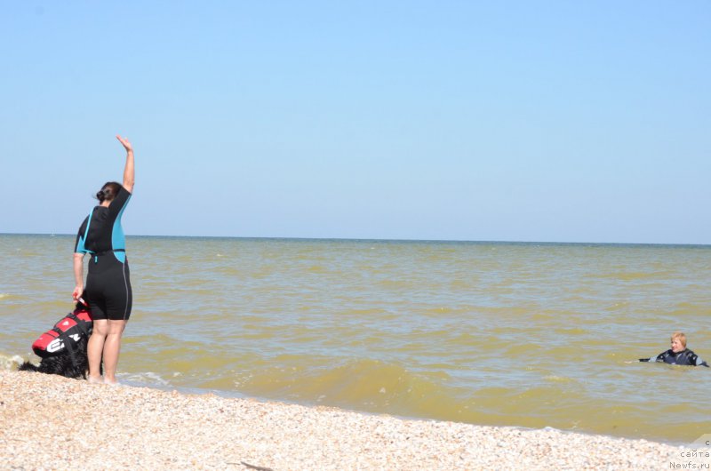 Фотография № 213459