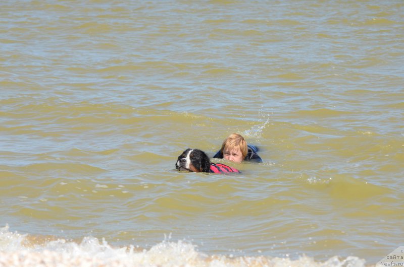 Фотография № 213461