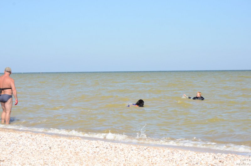 Фотография № 213466