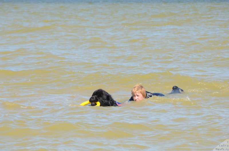 Фотография № 213467