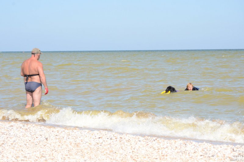 Фотография № 213468