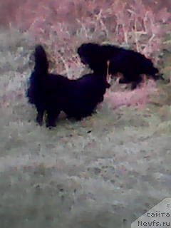 Фотография № 213471