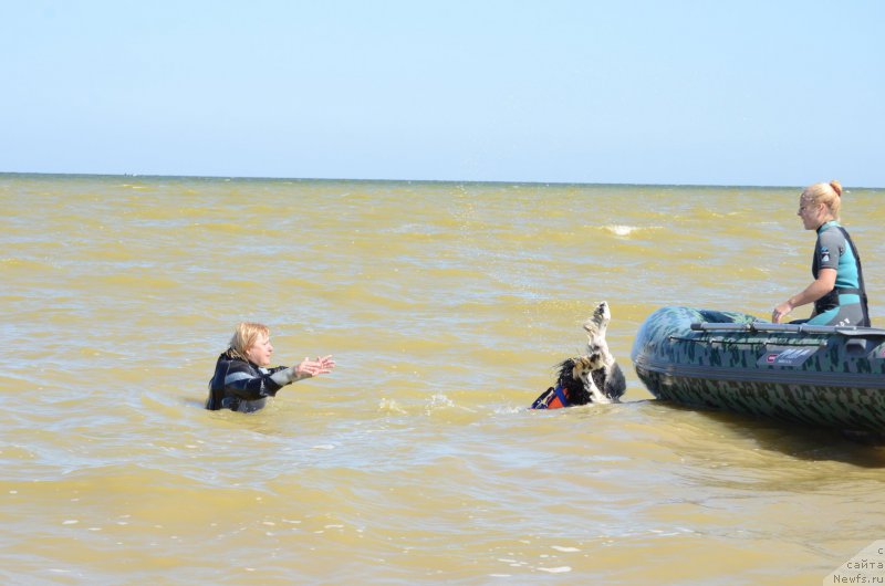 Фотография № 213476