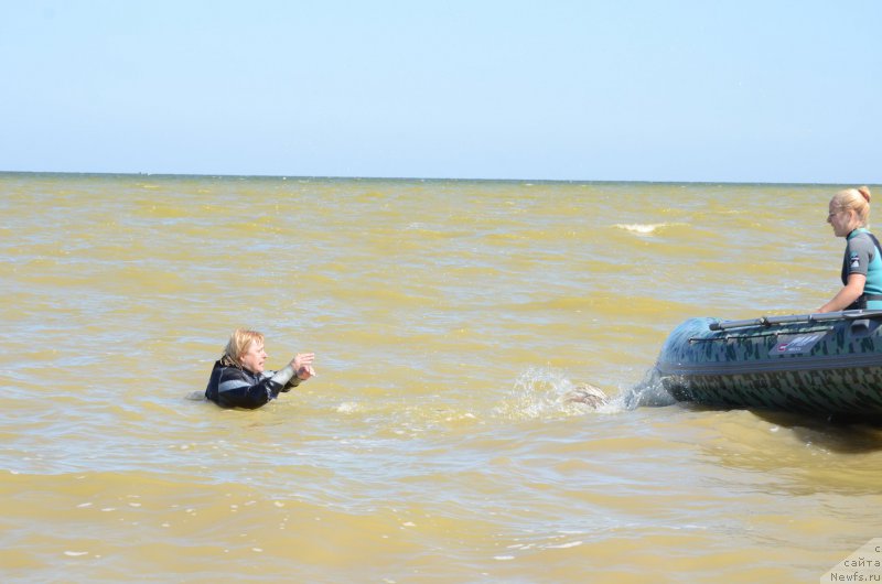 Фотография № 213477