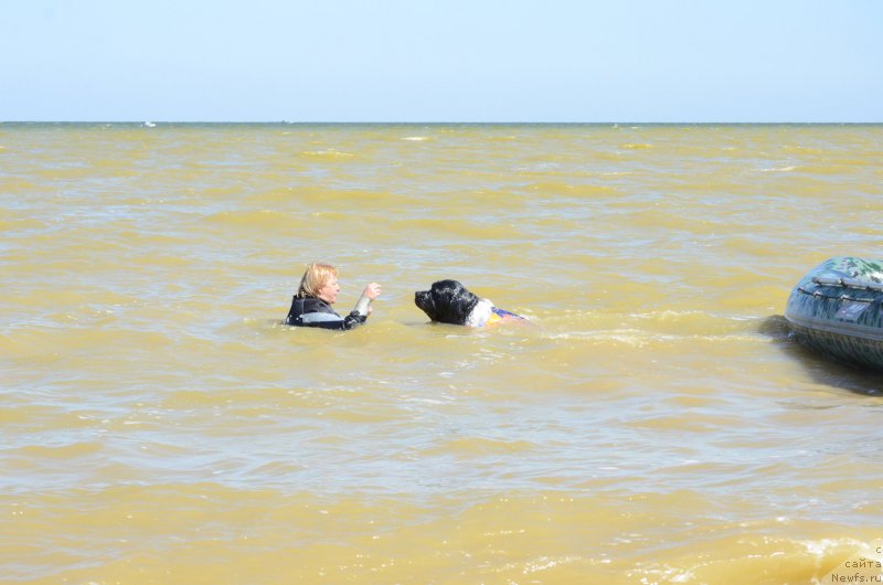 Фотография № 213478