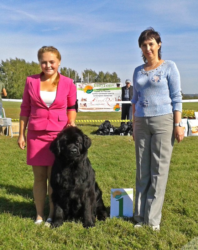 Фотография № 213489