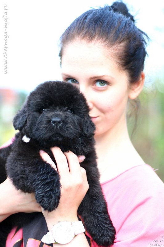 Фотография № 213500