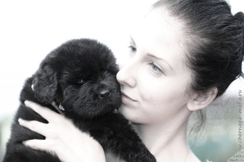 Фотография № 213501