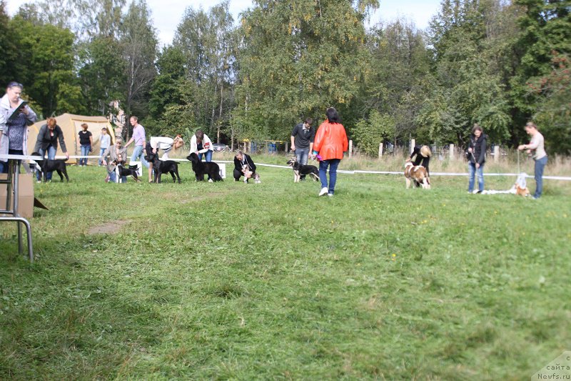 Фотография № 213510