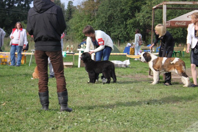 Фотография № 213511