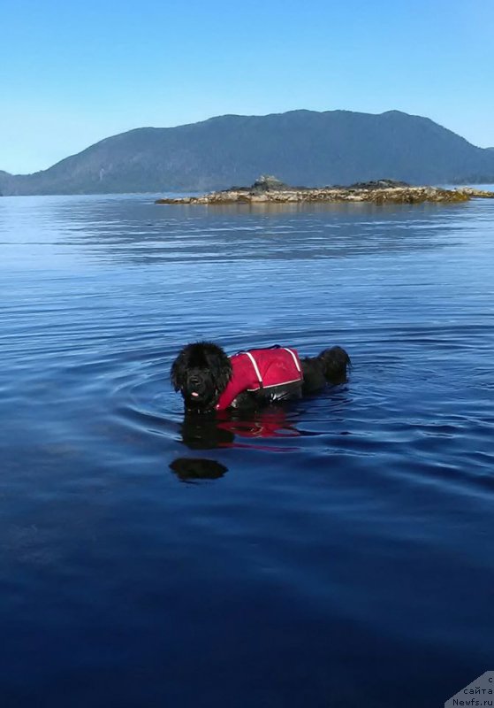 Фотография № 213518