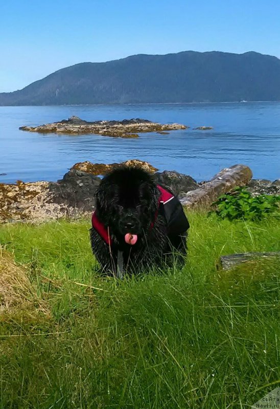 Фотография № 213519