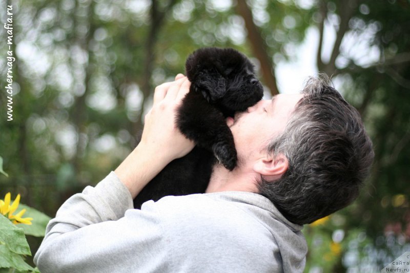 Фотография № 213642