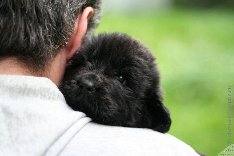 Фотография № 213643