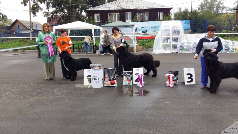 Фотография № 213644