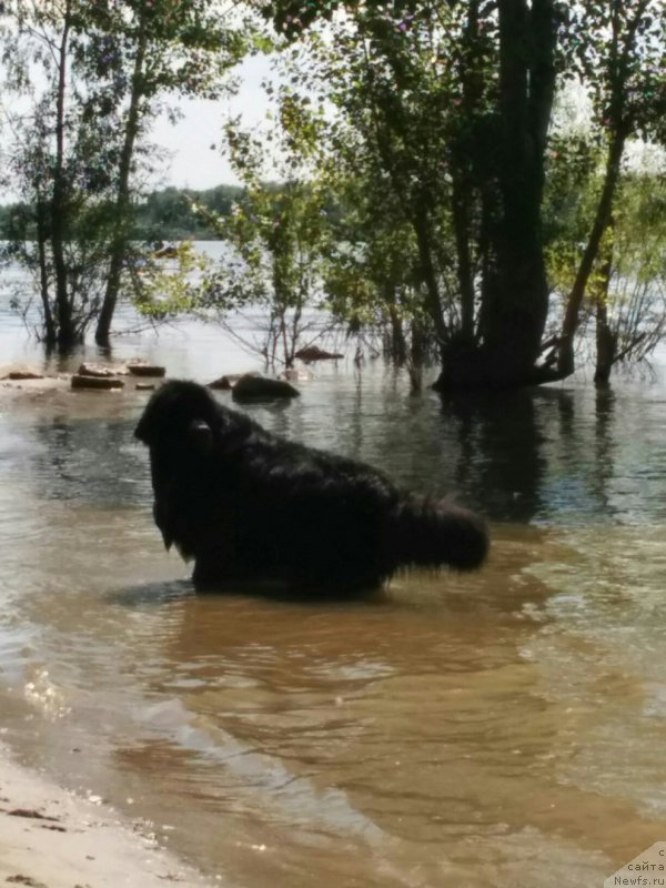 Фотография № 213677