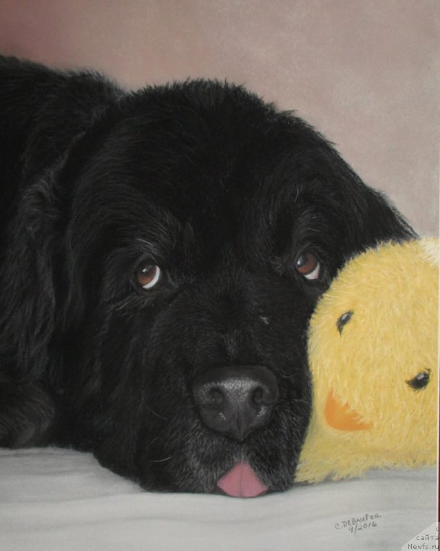 Фотография № 213678