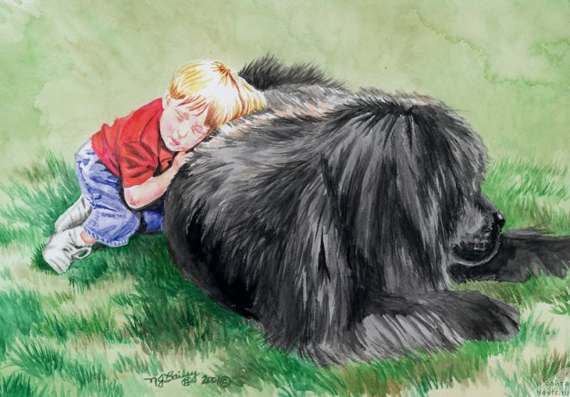 Фотография № 213690