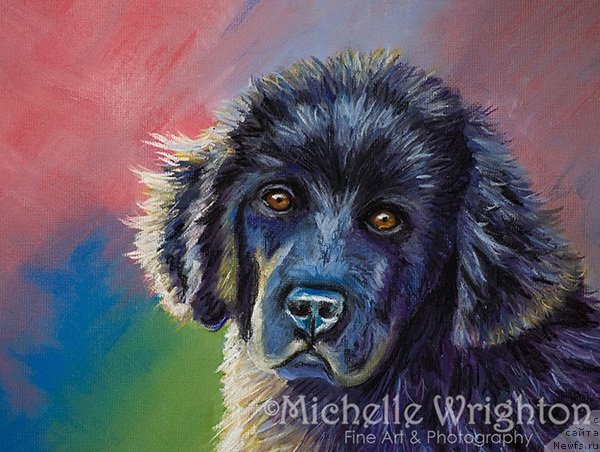 Фотография № 213692