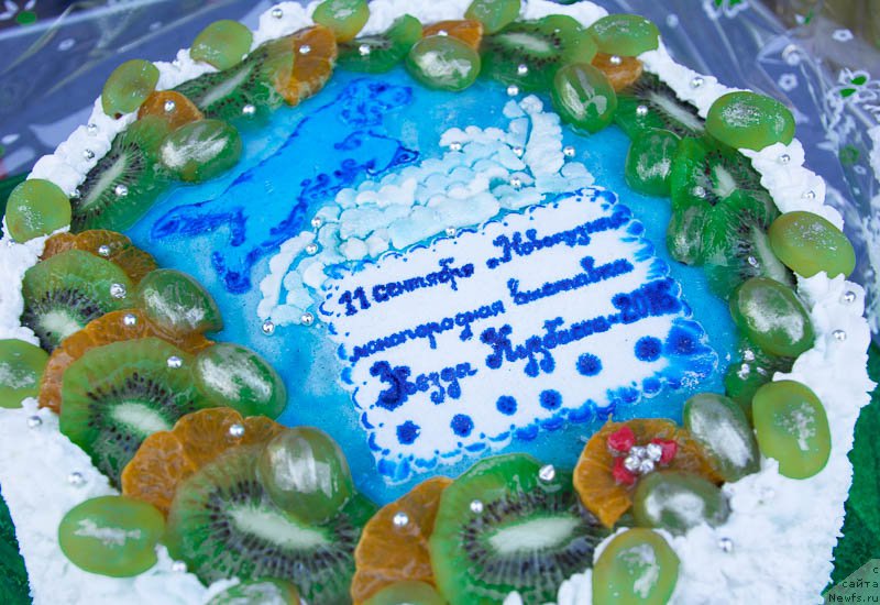 Фотография № 213693