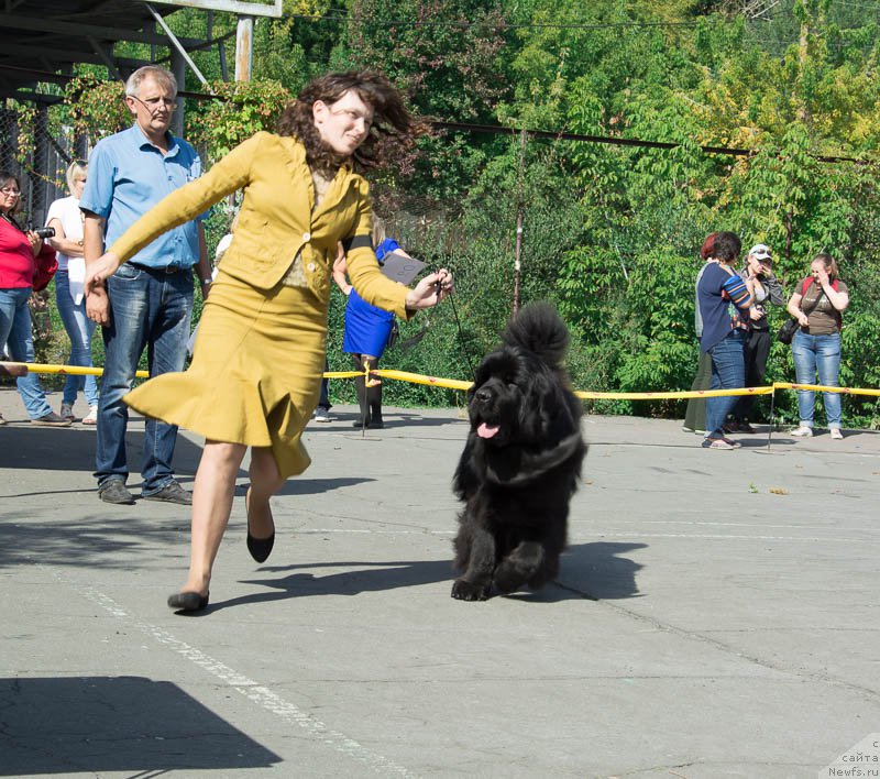 Фотография № 213696