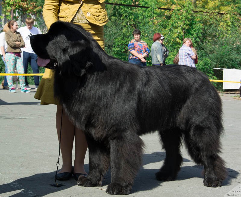 Фотография № 213697