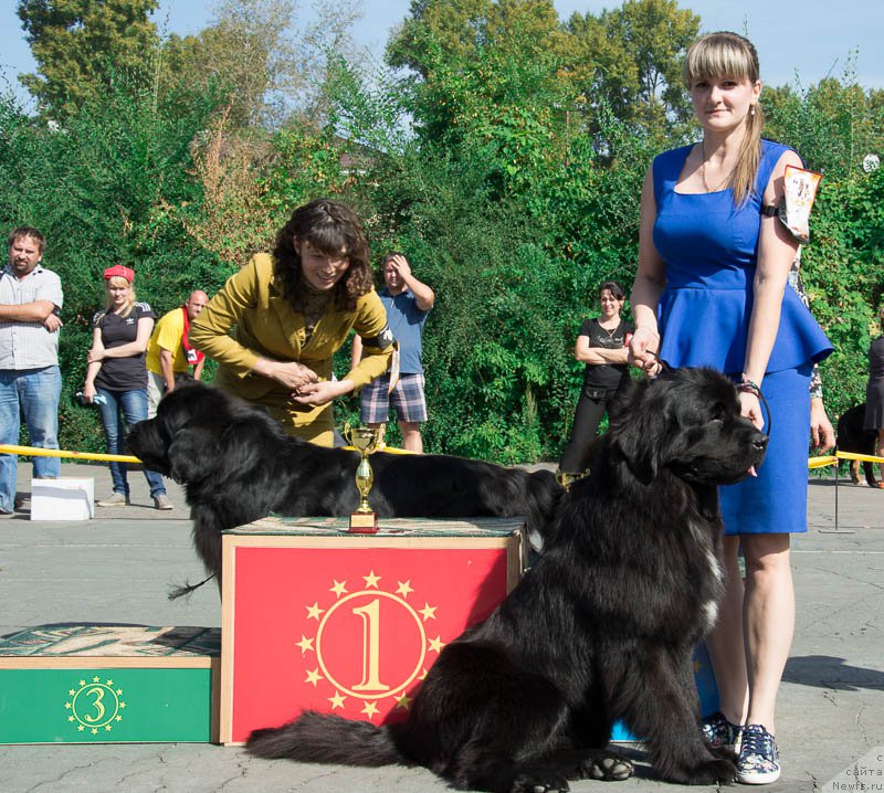 Фотография № 213702