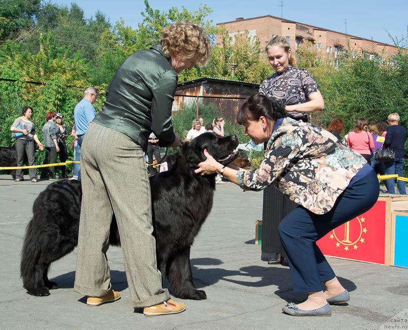 Фотография № 213706