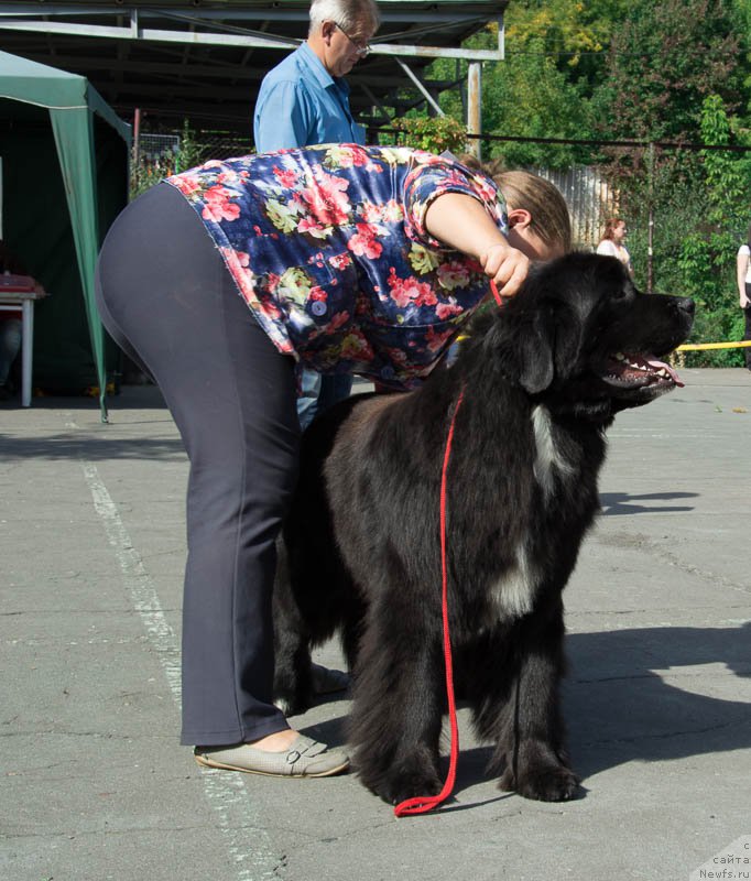 Фотография № 213709