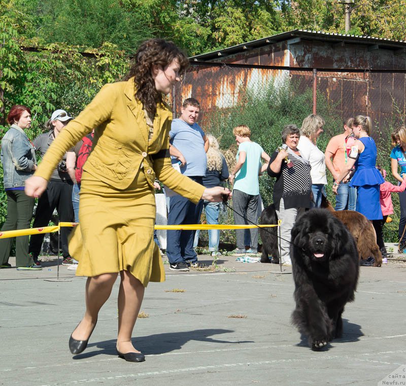 Фотография № 213710