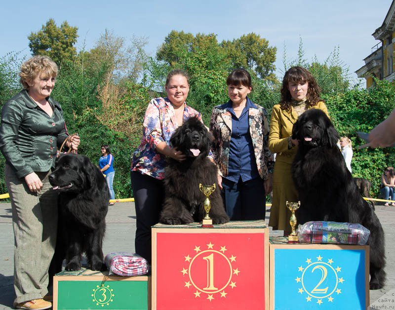 Фотография № 213711