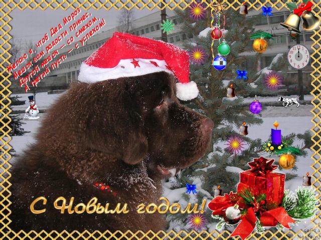 Фотография № 21375