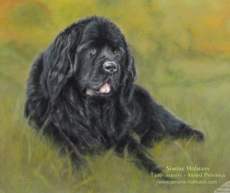 Фотография № 213750