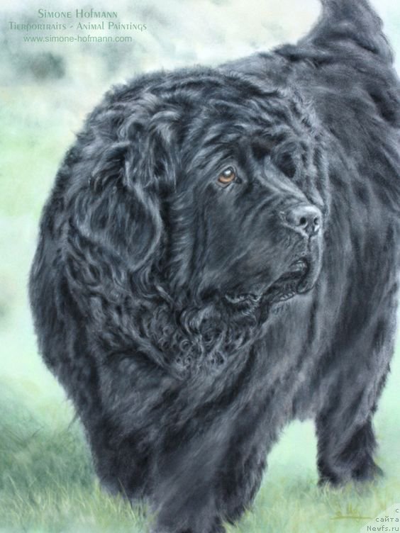 Фотография № 213753