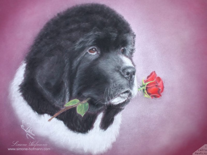 Фотография № 213754