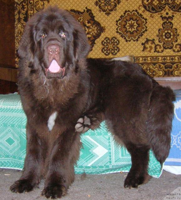 Фотография № 21376