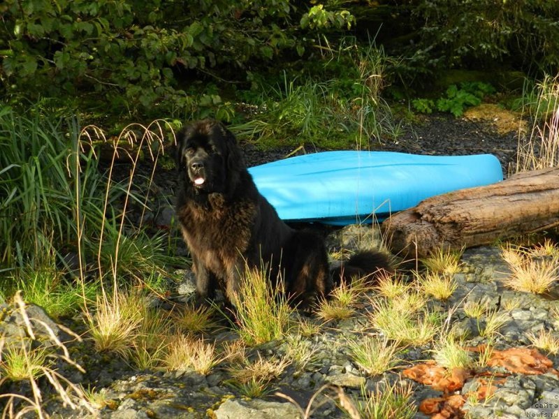 Фотография № 213767