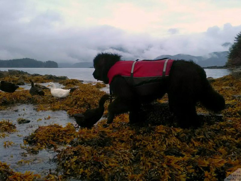 Фотография № 213769