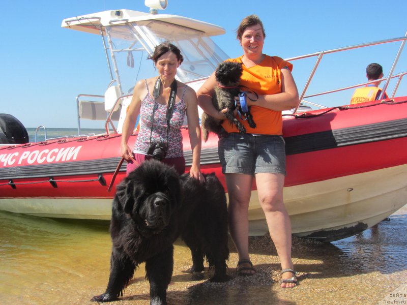 Фотография № 213770