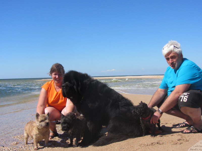 Фотография № 213771