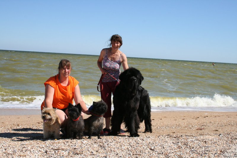 Фотография № 213772